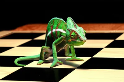 Illustration shuffled - Image 1