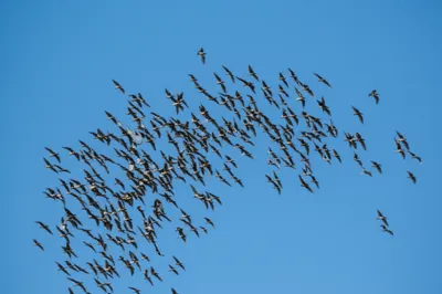 Illustration congregate - Image 1