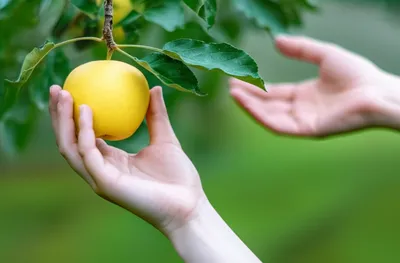 Illustration handed - Image 1