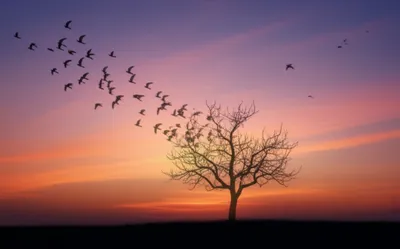 Illustration departed - Image 1