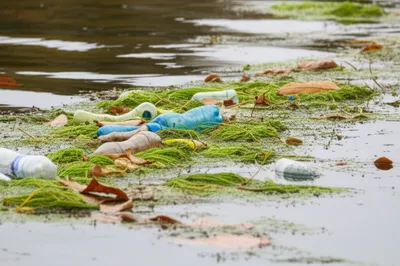 Illustration wrack - Image 1