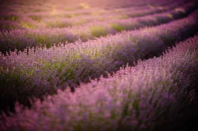 Illustration odour - Image 1