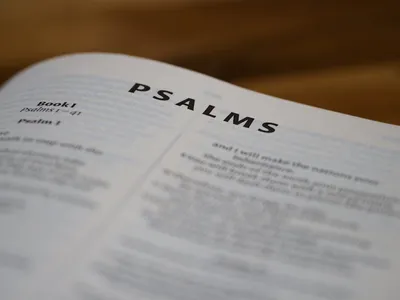 Illustration psalms