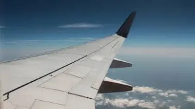 Illustration wing - Image 2