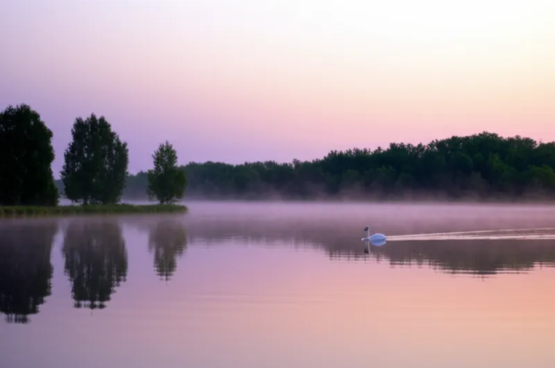 Illustration visuelle de tranquillise: Se tranquilliser, se calmer - Image 1