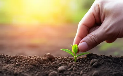 Illustration starters