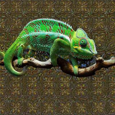 Illustration disguising