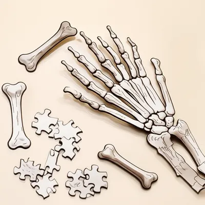 Illustration boned - Image 1