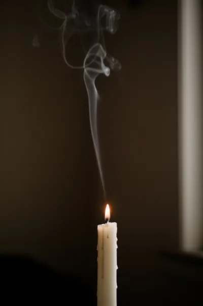 Illustration sly - Image 1