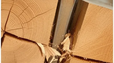 Illustration keys - Image 1