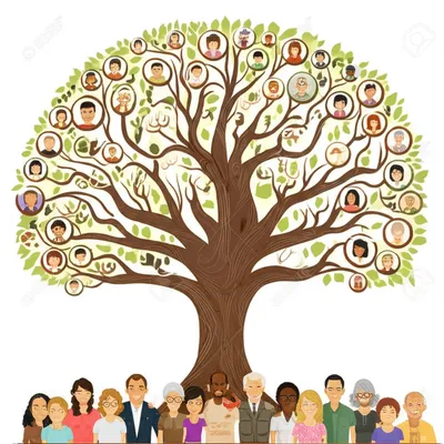 Illustration genealogies - Image 1