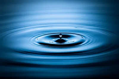 Illustration differential - Image 1