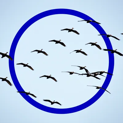 Illustration circling - Image 1