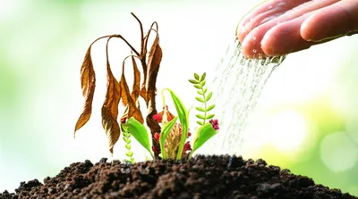 Illustration revitalise