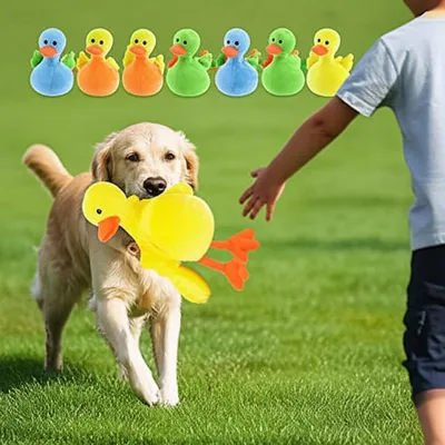 Illustration retrieve - Image 1