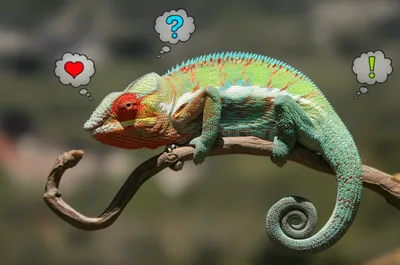 Illustration moods - Image 1