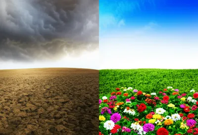 Illustration healing - Image 1