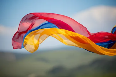 Illustration flaunting