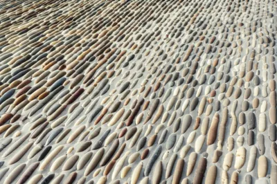 Illustration pebble - Image 1