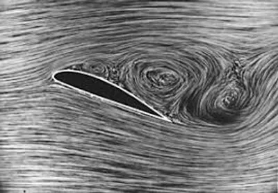 Illustration separation - Image 3