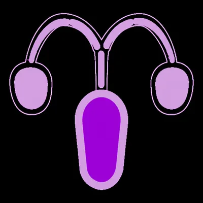 Illustration piped - Image 1