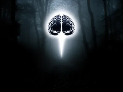 Illustration knows - Image 1