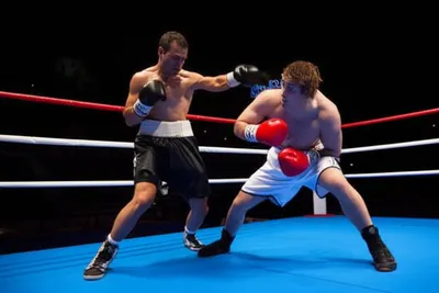 Illustration feinted - Image 1