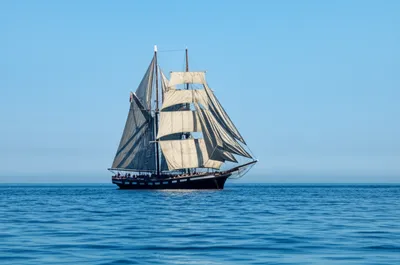 Illustration barque - Image 1