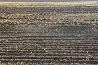 Illustration baulked - Image 1