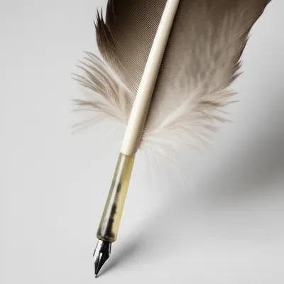 Illustration quill - Image 1