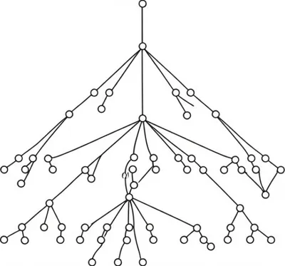 Illustration locale - Image 1