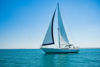 Illustration buck - Image 1