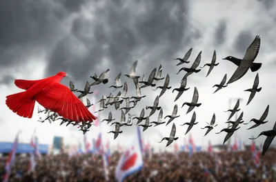 Illustration bolt - Image 1