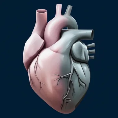 Illustration bronze - Image 1