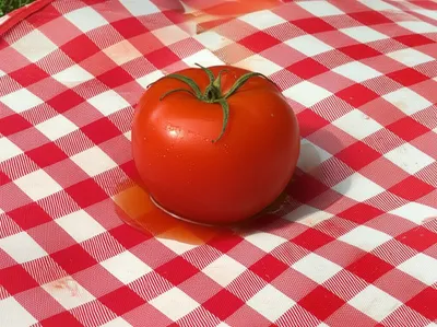 Illustration plops - Image 1