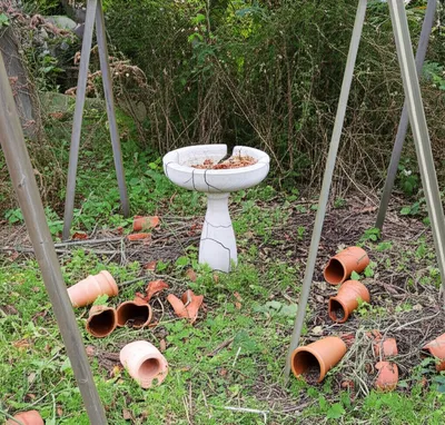 Illustration losses - Image 1