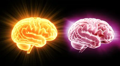 Illustration smarts - Image 1