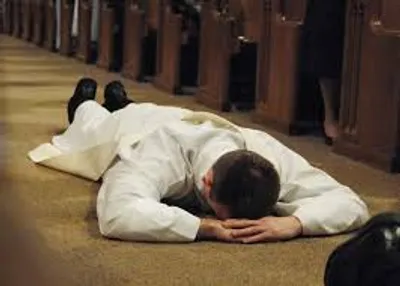 Illustration prostrate - Image 2