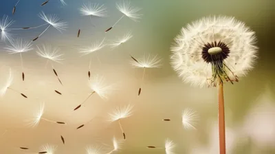 Illustration float - Image 1