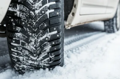 Illustration studs - Image 1