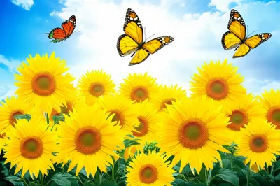 Illustration laughs - Image 1