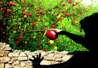 Illustration trespass - Image 1