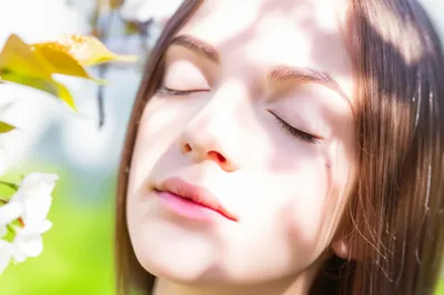 Illustration blooming - Image 1