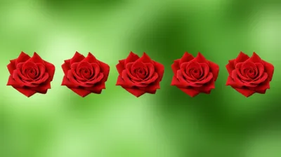 Illustration severally - Image 1