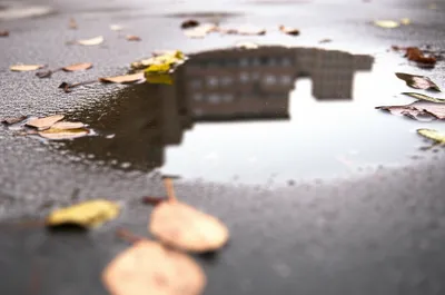 Illustration puddled - Image 1