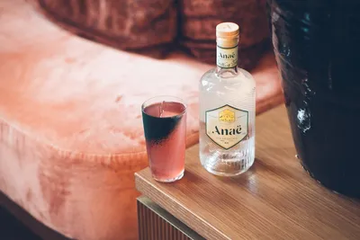 Illustration gins - Image 2