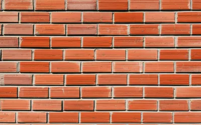 Illustration reps - Image 1