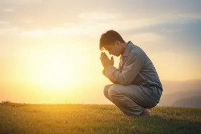 Illustration ave - Image 1