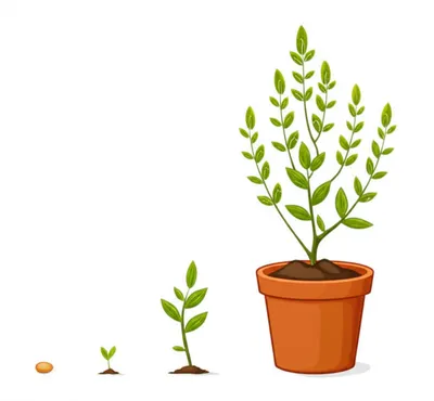 Hình ảnh minh họa logistic - Ảnh 1