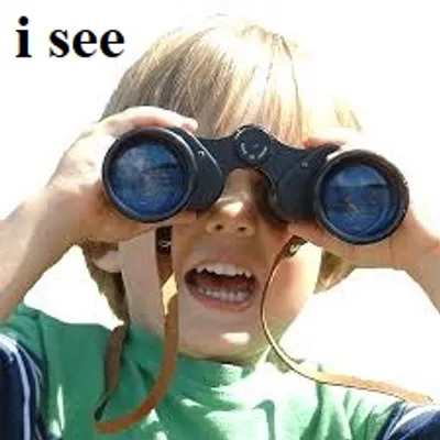 Illustration observe - Image 2